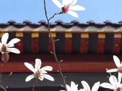 -四川大学(华西校区)