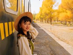 -金塔沙漠胡杨林景区