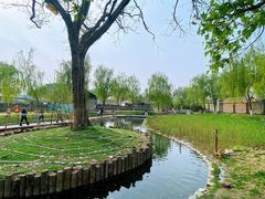 -三里河公园