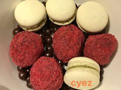 美点双辉-蝶舍·MAISON PAPILLON