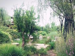 -武清南湖绿博园