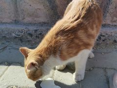 -新疆天山野生动物园