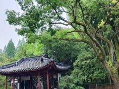 -汇龙潭