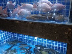 -徐记海鲜(大明宫|北二环店)