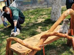 -大连森林动物园