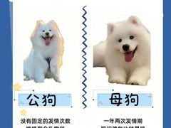 -唐小姐の猫狗洗护·购宠旗舰店(周浦万达店)