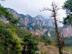 -雁荡山大龙湫景区