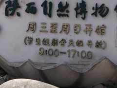 -陕西自然博物馆