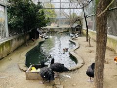 -水绘园