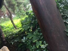 -威海天沐度假区温泉