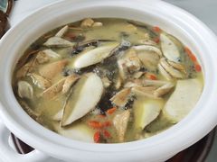 -蘑统田下·野生菌火锅