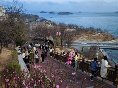 -星海湾跨海大桥