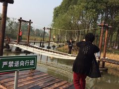 iphone_upload_pic-长兴太湖图影湿地文化园