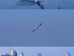 -东湖听涛景区