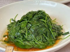 -新南华大酒店(广中店)