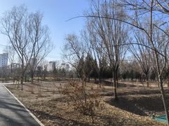 -东升八家郊野公园