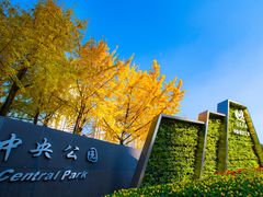 -重庆市江北嘴中央商务区中央公园