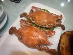 -韩记海鲜饺子旗舰店(红海新区店)