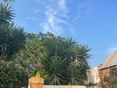 -三圣花乡旅游区