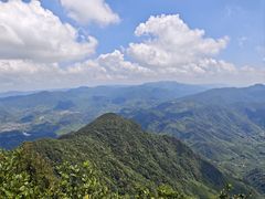 -黄埔油麻山森林公园