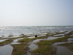 -滴水丹屏