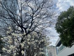 -艺仓美术馆