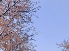 -西山漾湿地公园