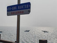 -红星渔村(将军石店)