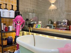 -十年猫舍·猫咪专门店(普陀店)