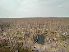 -黄海国家森林公园