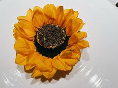 -无味舒食(思南公馆店)
