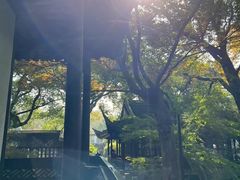 -上海醉白池公园