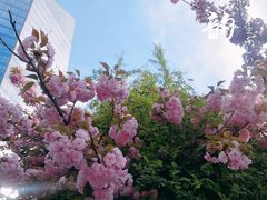 -国贸中心·国贸大厦三期