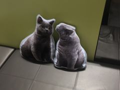 -BeLLE 百丽(上海月星环球港店)