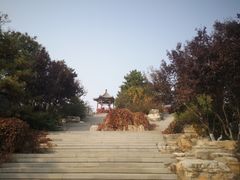 -大兴滨河森林公园