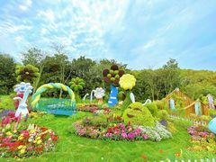 -上海共青森林公园