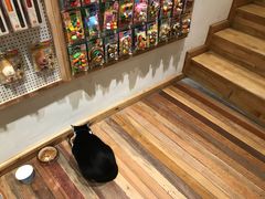 -猫的天空之城概念书店(杭州南宋御街店)