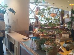 -蛙小侠(珠海华发商都店)
