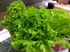 生菜-韩红石板肉(范西路店)