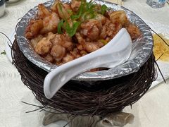 -丁老爷子苏香圆