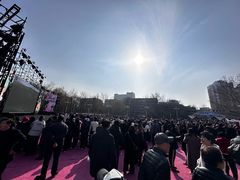 -桃花堤公园