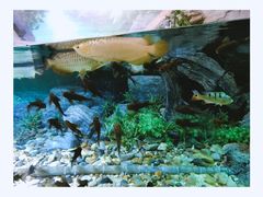 -福州罗源湾海洋世界旅游区