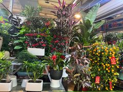 -朝来春花卉市场