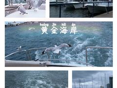 -黄金海岸