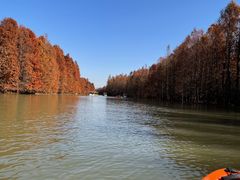 -上海海湾国家森林公园