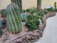 -正佳雨林生态植物园