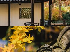 -巡塘古镇