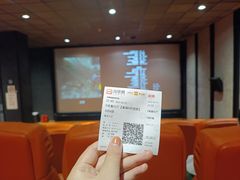 -华美国际影城(旧宫永辉店)