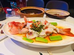 -侨美食家·41年地道粤菜(珠江新城店)