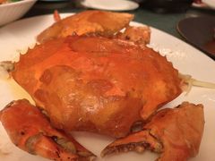 -上海小南国(国发店)